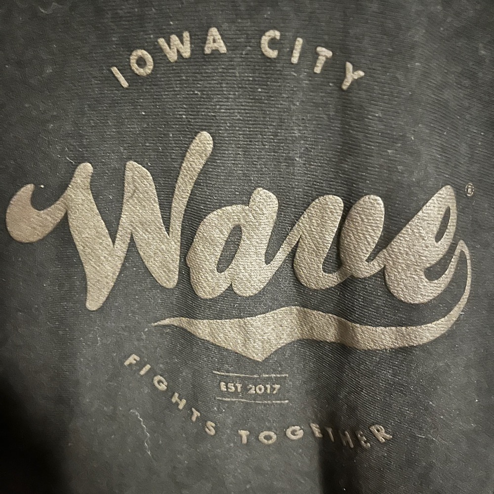 The Wave-University of Iowa Hoodie, Adult Size Small
